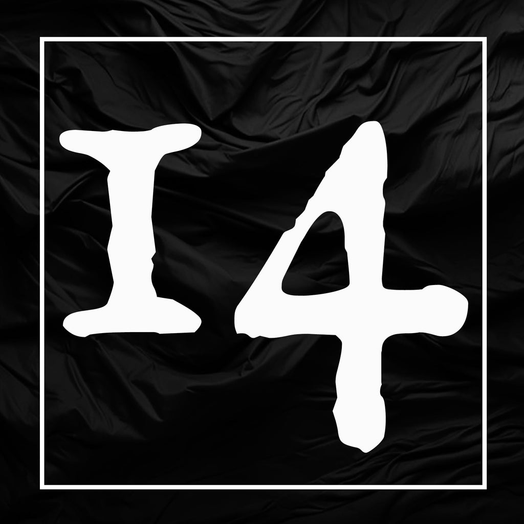 Cadabra Records Subscription 14